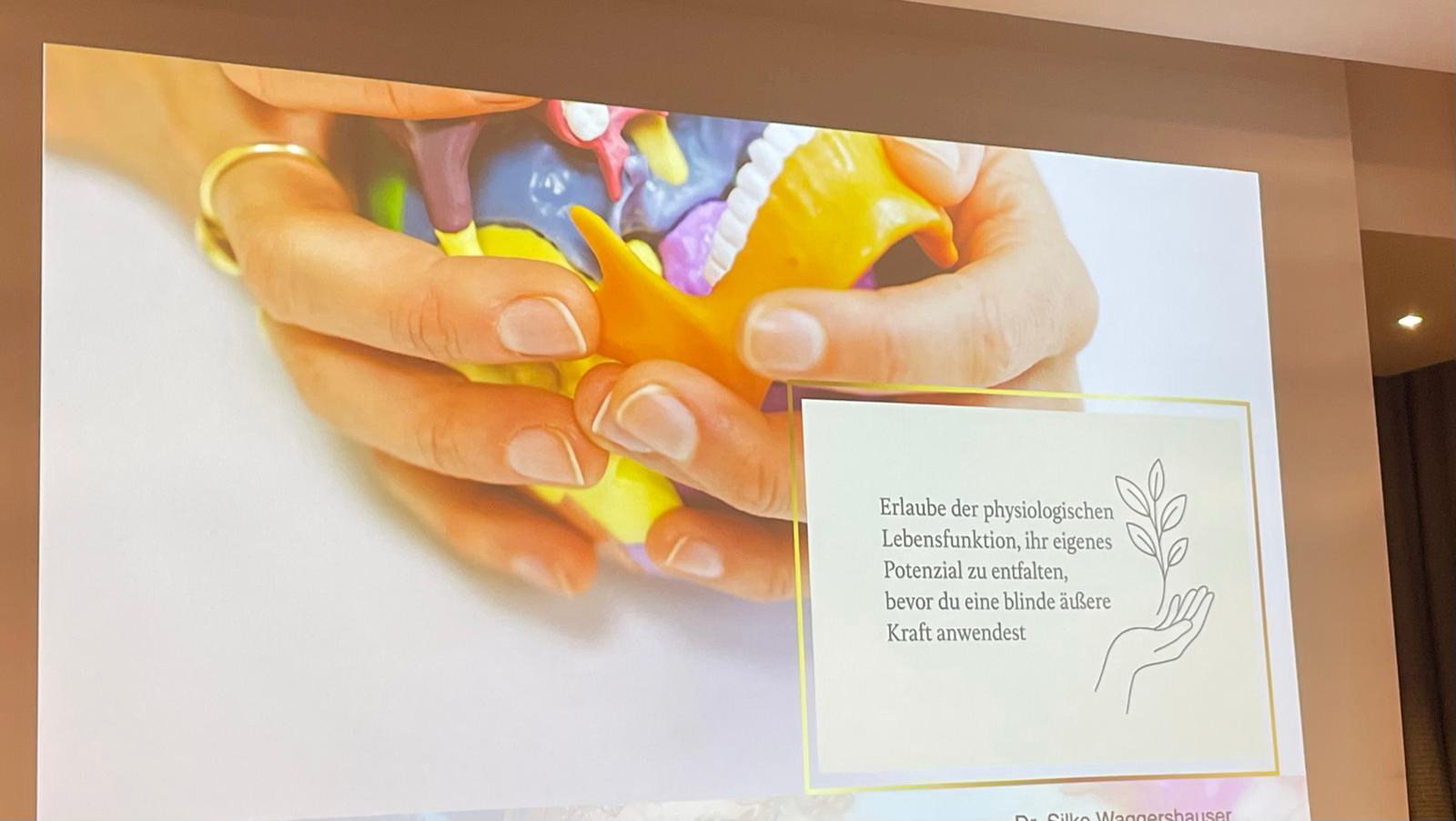 Zertifizierung zur Dentosophin in Deidesheim